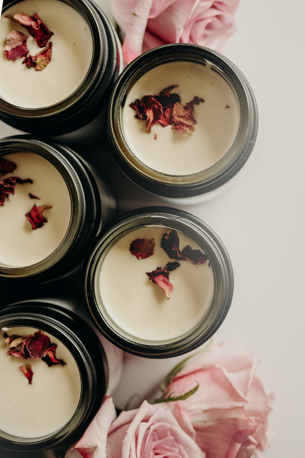 Tallow Goddess Blend – Wild Rose | Grass-Fed Whipped Tallow Face Moisturizer